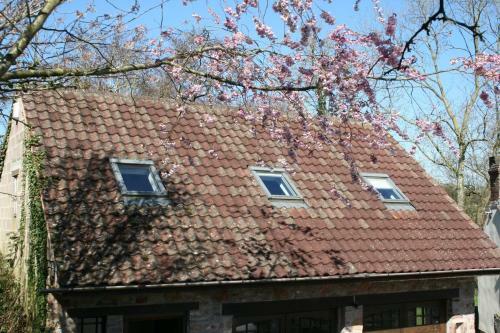 Old Ford Cottage