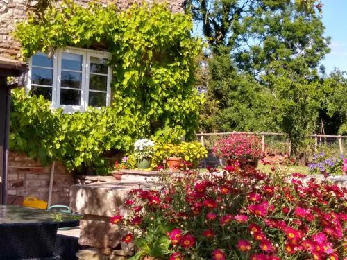Old Ford Cottage