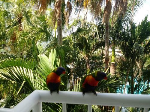 Apartamento Bel Air Private Condominium