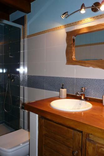 Apartamentos La Condesa