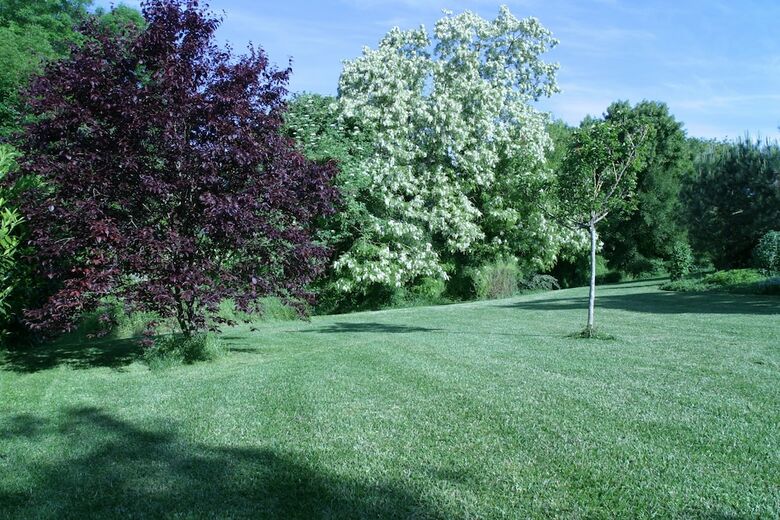 Bed & Breakfast Au Bois Des Tilleuls