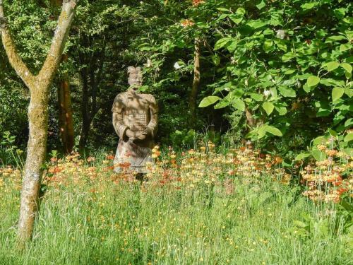 Woodland View