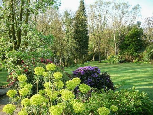 Woodland View