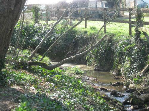 Apartamento Willow Brook Lodge