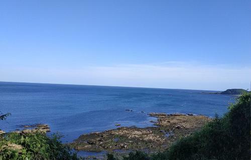 Dog Friendly Nancecliff Cottages