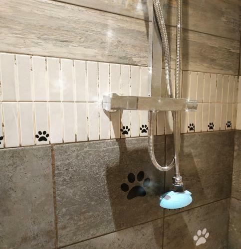 Dog Friendly Nancecliff Cottages