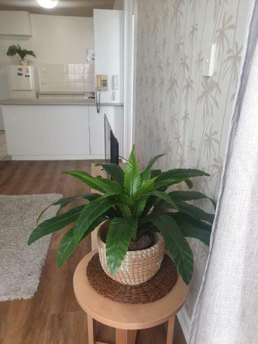 Apartamento King's Paradise Tower