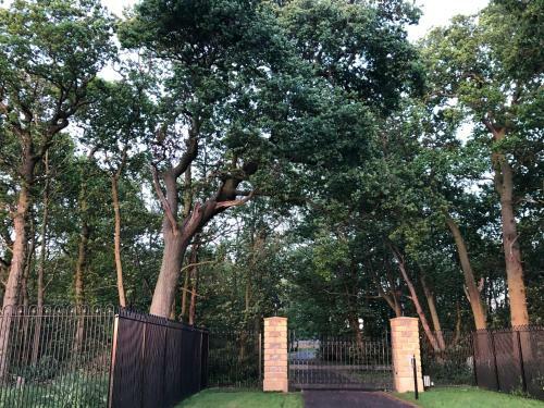Whitehall Estate Lodges