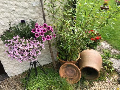 Bed & Breakfast Chaseborough Farm
