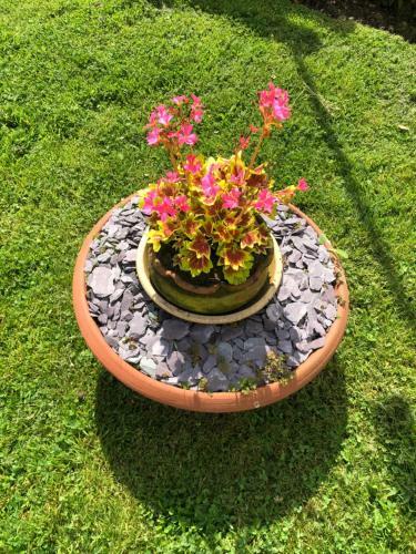 Bed & Breakfast Chaseborough Farm