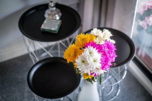 Bellman Apartment - Pet Friendly With Parking