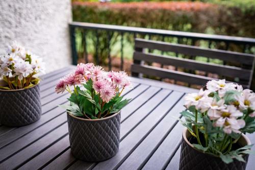 Bellman Apartment - Pet Friendly With Parking