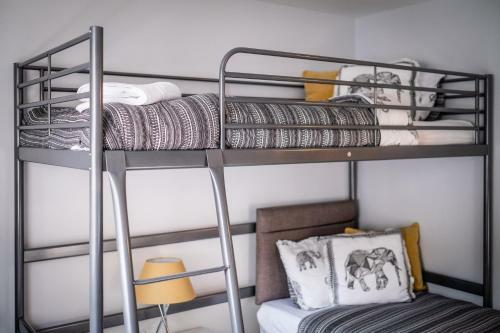 Bellman Apartment - Pet Friendly With Parking
