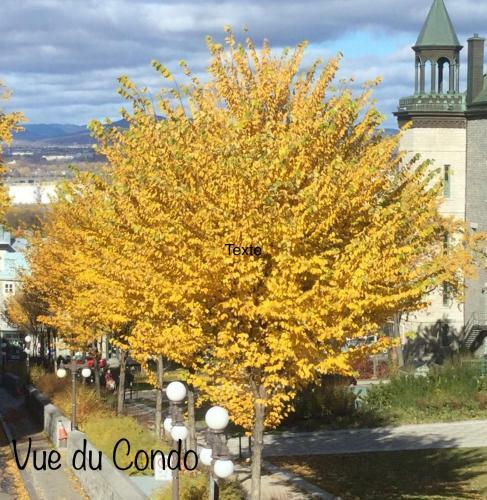 Apartamento Condo De Lux Le M�ribel Du Vieux-qu�bec
