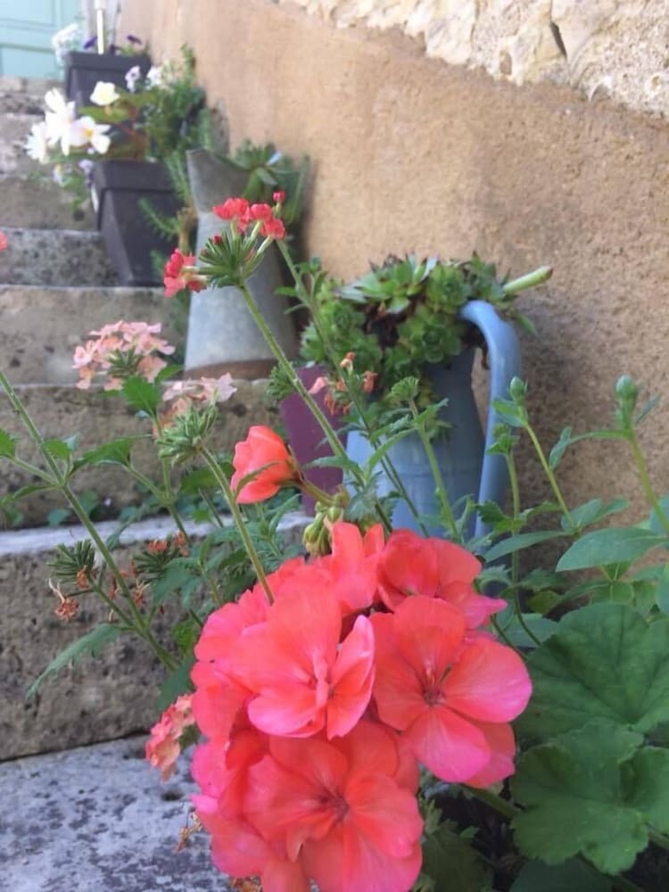 Bed & Breakfast Domaine Maltoff