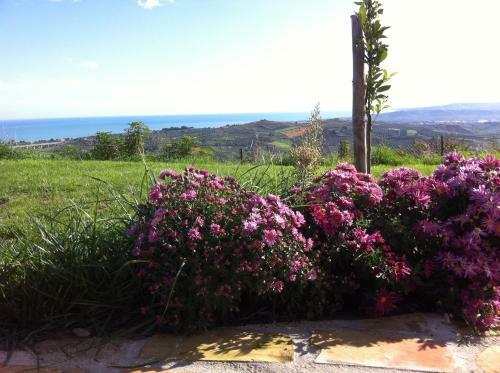 Bed & Breakfast Villa Polercia