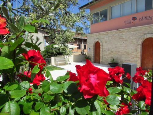 Bed & Breakfast Villa Istonia