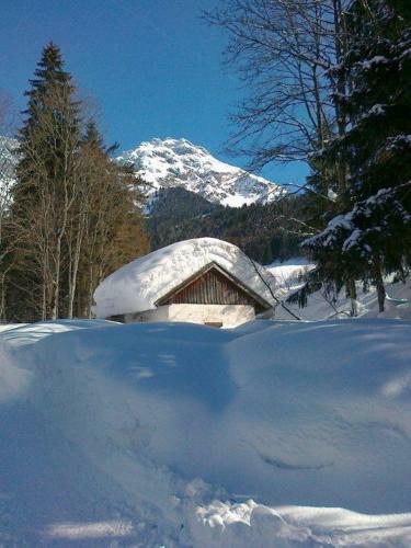 Apartamento Wachtelhof