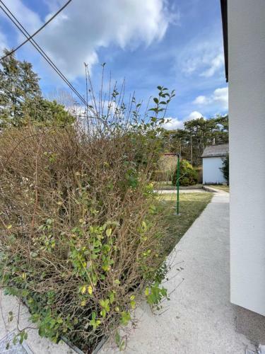 Haus Am Berg Hinterbr�hl