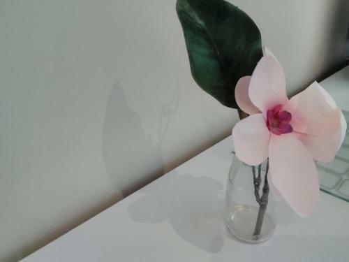 Hostal Windermere Studio Rooms