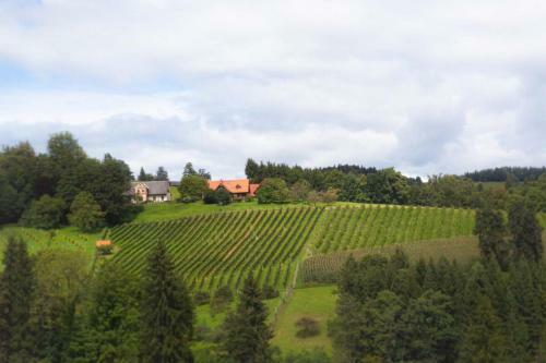 Ferienhaus Schilcherland