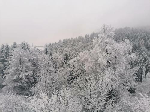 Ferienhaus Schilcherland