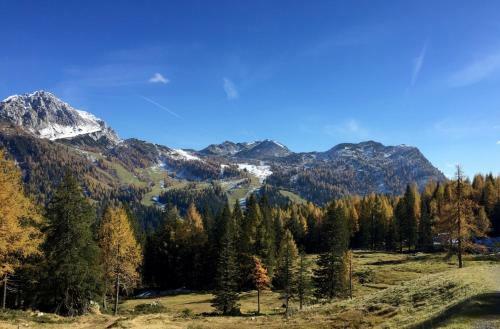 Waldnerh�tte