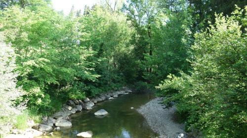 Apartamento Erwins Ferien-paradies