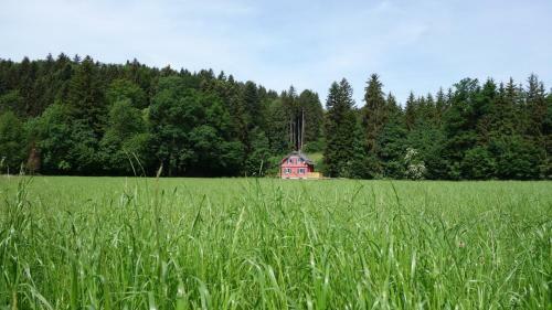 Apartamento Erwins Ferien-paradies