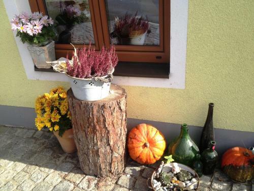 Agroturismo Rauterhof