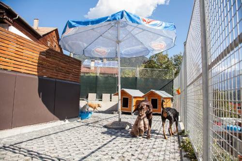 Apartamento Ferienwohnung Bei Cooldog