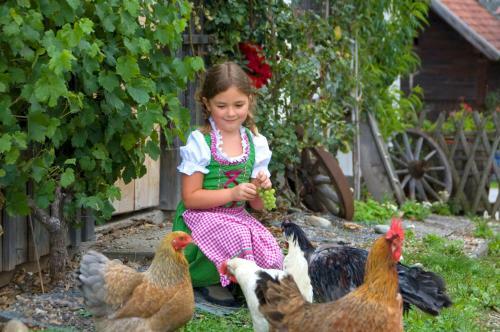 Agroturismo Lutzmannhof