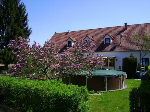 Hostal G�stehaus Br�ckler