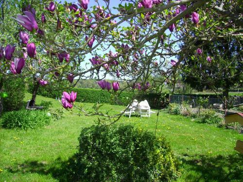 Hostal G�stehaus Br�ckler