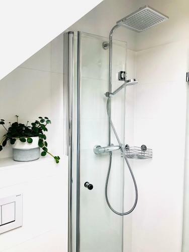 Hostal Zimmer/wohnung Judenburg