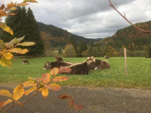 Apartamento Am Hof Jungholz