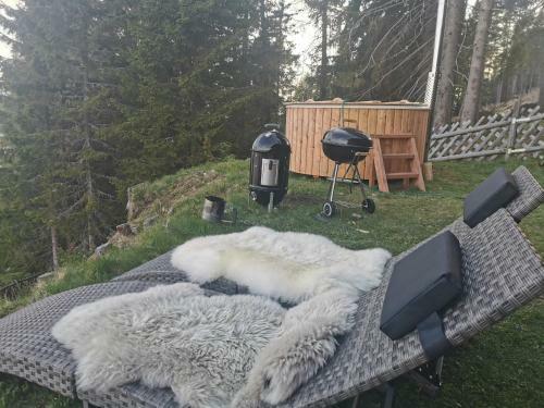 Chalet Petit