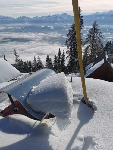 Chalet Petit