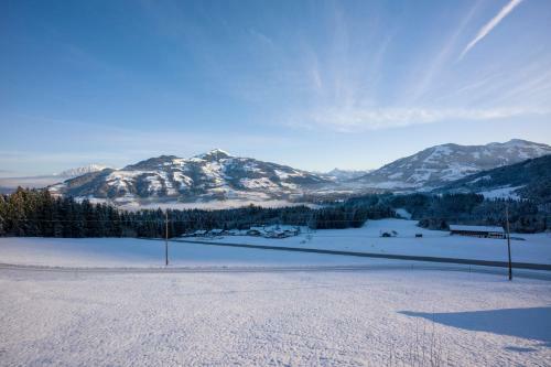 Chalet Apartment Obermanzl