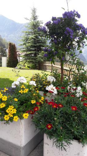 Bed & Breakfast Haus Edelwei�