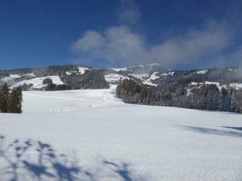 Apartamento Appartement Bergrose