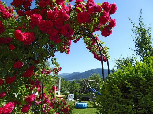 Apartamento Appartement Bergrose