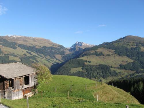 Apartment "k�nstlh�usl"