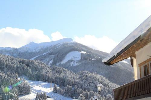 Apartment "k�nstlh�usl"