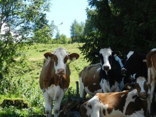 Agroturismo Biohof Vorderreith
