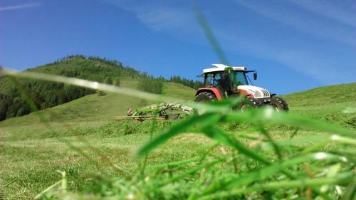 Agroturismo Biohof Vorderreith