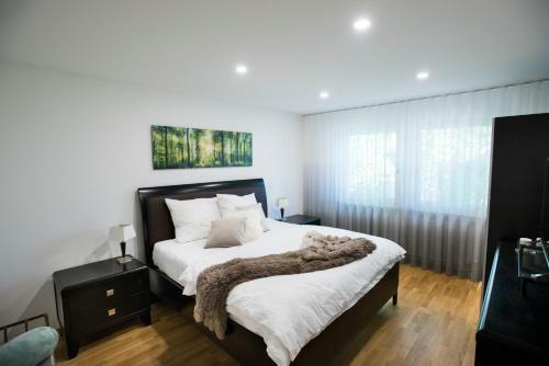 Lake View Apartments