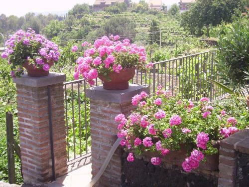 B&B Villa Dagala