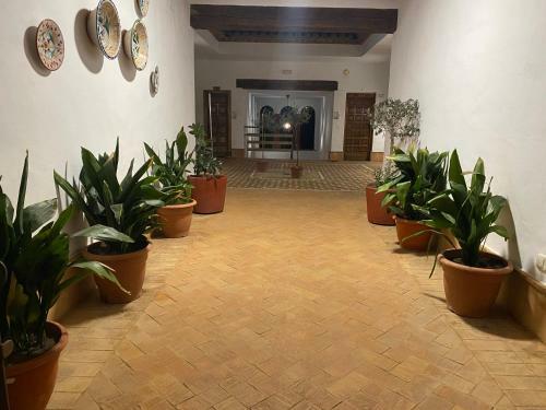 Apartamentos Turisticos Los Alisos