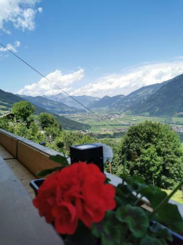 Apartamento Ferienwohnung Haus Bianca